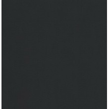 Пленка для бассейна NG Black Delifol (ширина 160 cм)