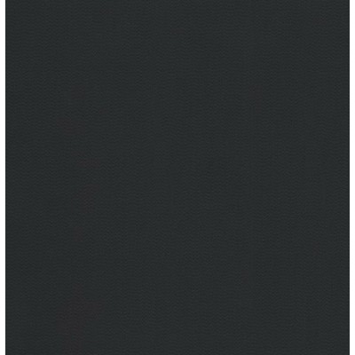 Пленка для бассейна NG Black Delifol (ширина 160 cм)