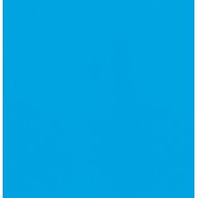 Пленка для бассейна NG Blue Delifol (ширина 165 cм)