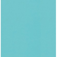 Пленка для бассейна NG Caribic Delifol (ширина 160 cм)