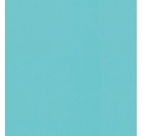 Пленка для бассейна NG Caribic Delifol (ширина 160 cм)