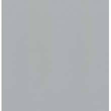 Пленка для бассейна NG Grey Delifol (ширина 200 cм)