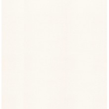 Пленка для бассейна NG White Delifol (ширина 160 cм)