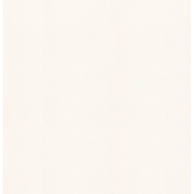 Пленка для бассейна NG White Delifol (ширина 160 cм)