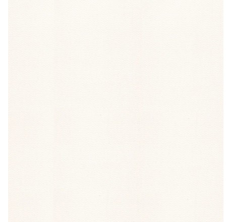 Пленка для бассейна NG White Delifol (ширина 160 cм)