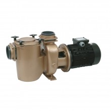  Насос Pahlen Bronze, 102 м3/ч, 380 В, 7,5 кВт