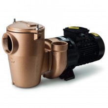 Насос P85, 80 м3/ч, 380 В, 5,5 кВт, бронза