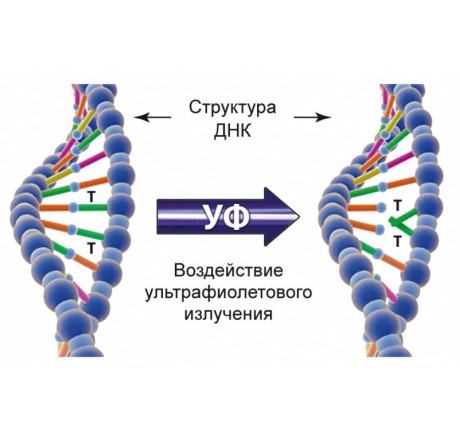 УФ-обеззараживатель ЛИТ Basic DUV-1А250-N BSC ZD-OP